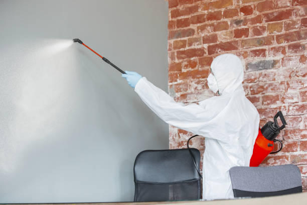 Best Forensic Mold Investigation  in Canal Winchester, OH
